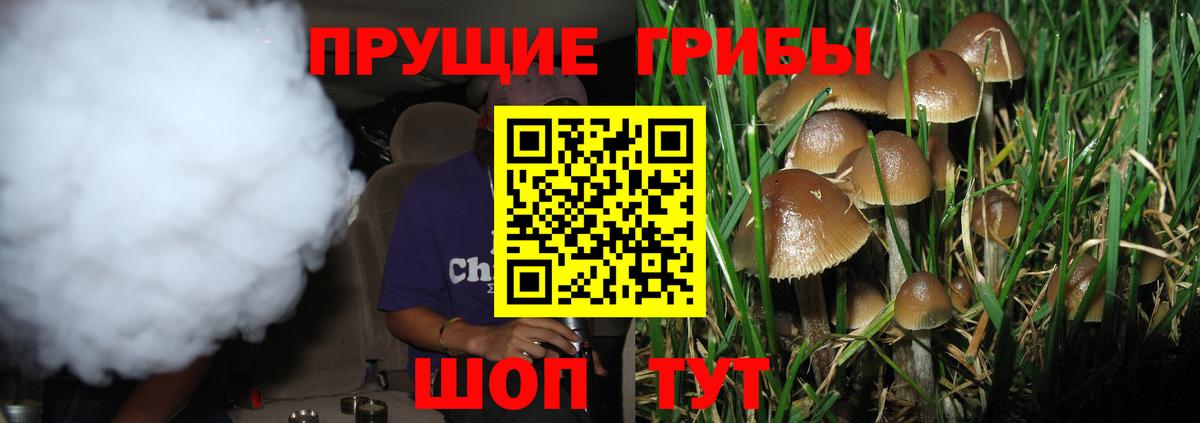 Галлюциногенные грибы прущие грибы  Вход с VPN  Волгоград 