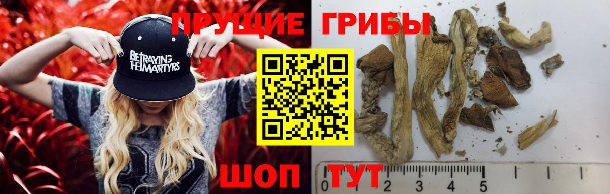 Псилоцибиновые грибы Psilocybine cubensis Волгоград